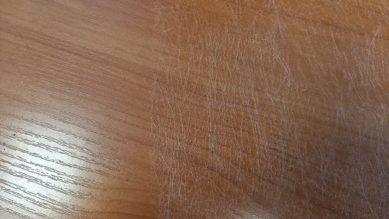 Customer image of the material for web edge sensing